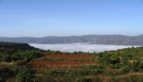 Puja Farm House - Tapola