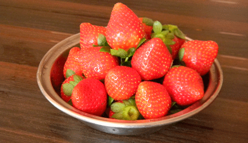 Puja Farm House - Tapola